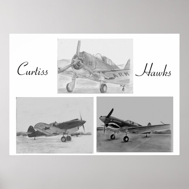 Affiche de la famille Curtiss Hawk (Devant)