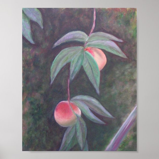 Affiche de la FLORIDE PEACHES (Devant)
