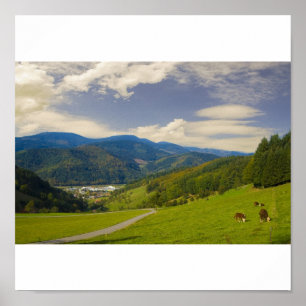 Affiche de la forêt noire