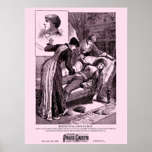 Affiche de la Gazette de police Bertie (Devant)