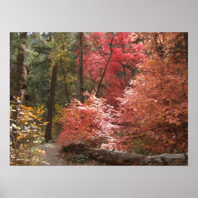 Affiche de la Majesté d'automne (3) (Devant)