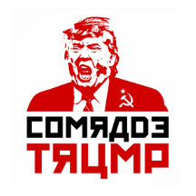 Affiche de la manifestation de Trump 2017 : "COMRA