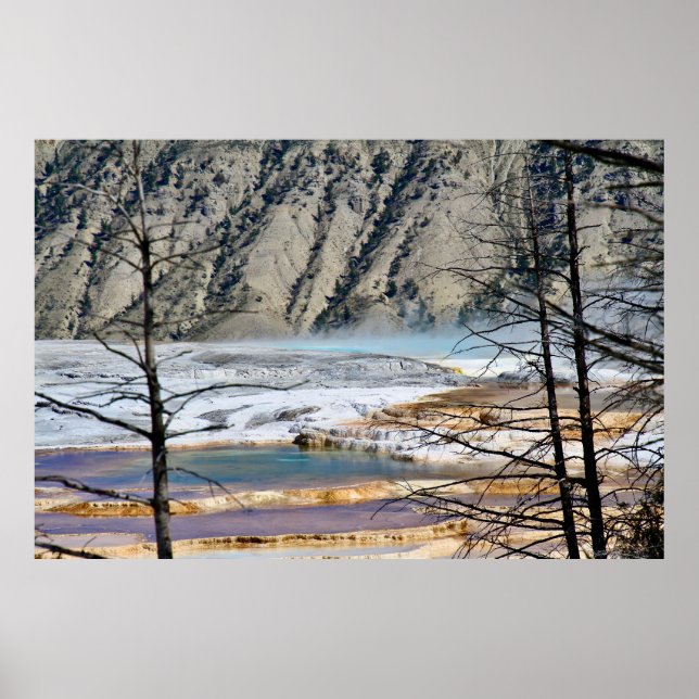 Affiche de la nature des sources chaudes (Devant)