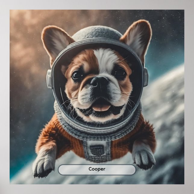 Affiche de la nurserie spatiale pour bouledogue fr (Devant)