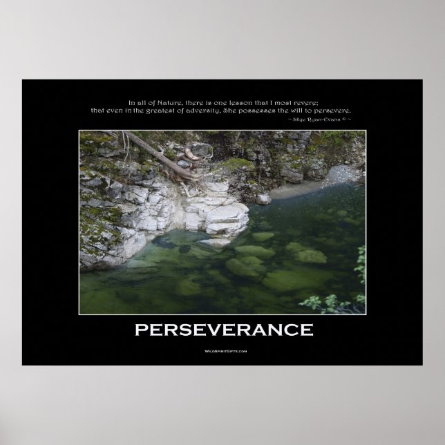 AFFICHE DE LA PERSÉVÉRANCE Nature (Devant)