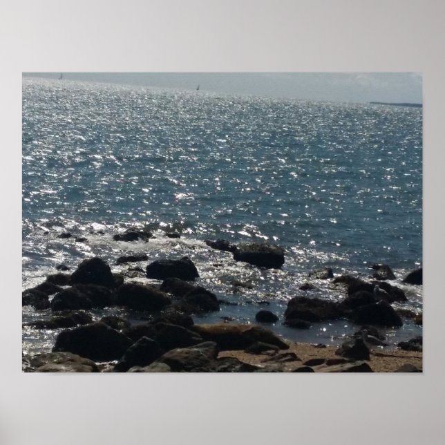 affiche de la plage du parc d'état orient (Devant)