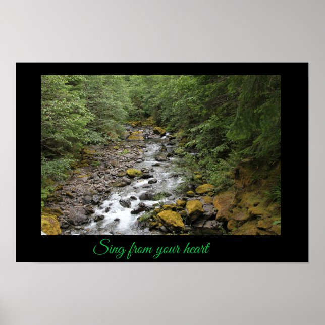 Affiche de la rivière (Devant)