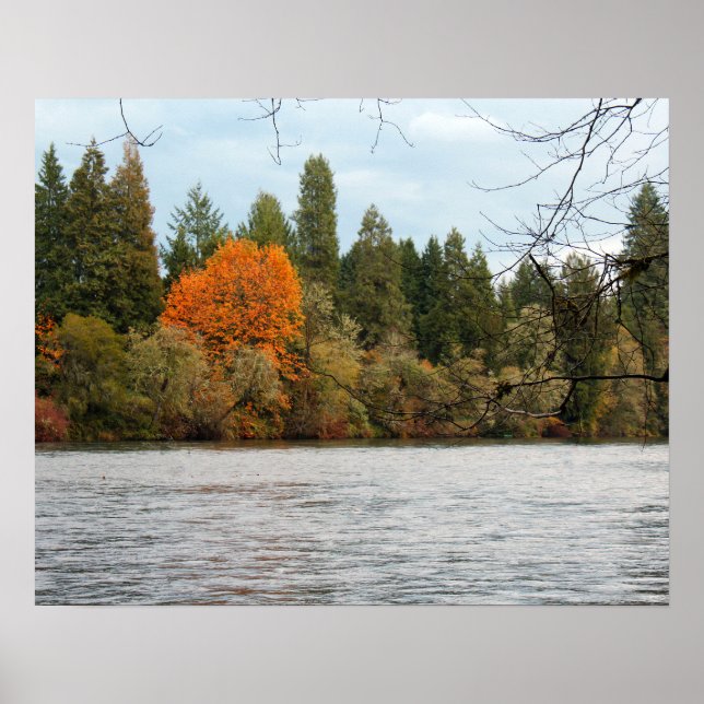 Affiche de la rivière tranquille (Devant)