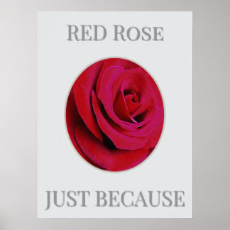 Affiche de la rose rouge