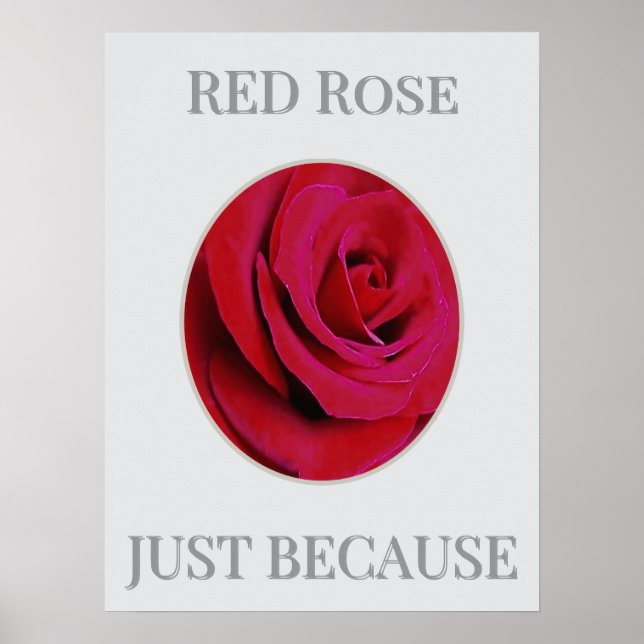 Affiche de la rose rouge (Devant)