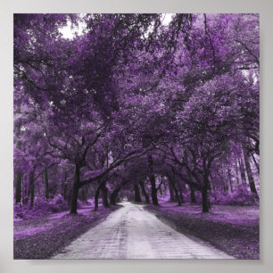 affiche de la rue santee