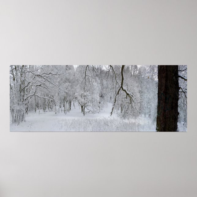 Affiche de la scène de neige d'hiver Imprimer (Devant)