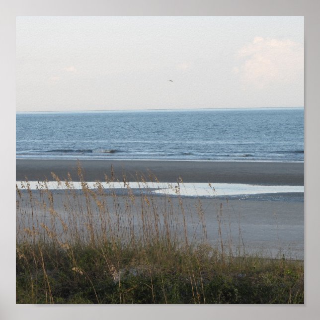 Affiche de la scène de plage (Devant)