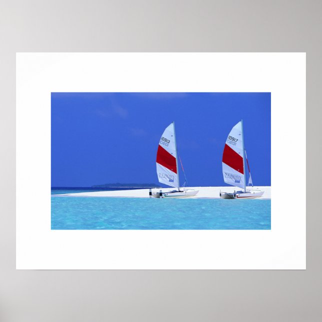 Affiche de la scène de plage tropicale (Devant)