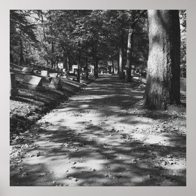 Affiche de la scène du cimetière (Devant)