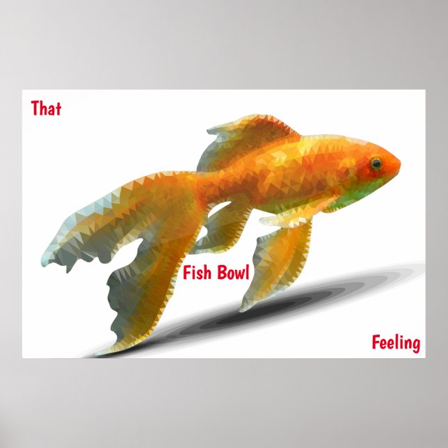 Affiche de la sensation du bocal à poissons (Devant)