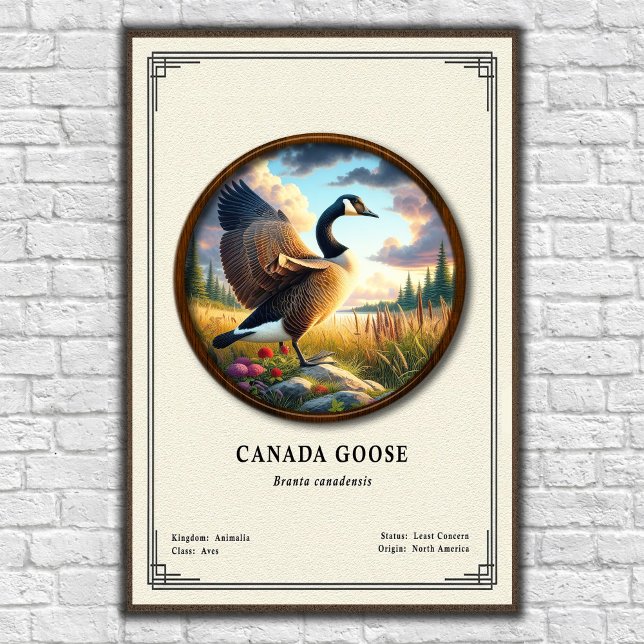 Affiche de la série de zoologie de la bernache du  (Créateur téléchargé)