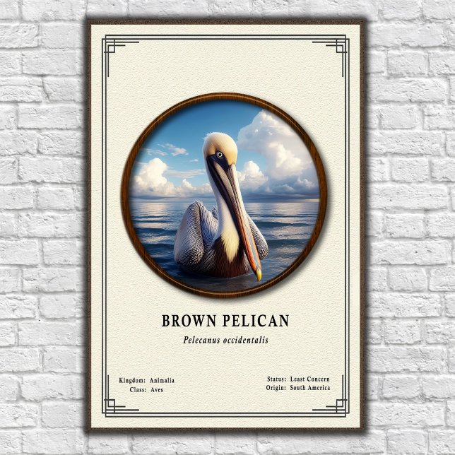 Affiche de la série de zoologie du Pélican brun (Créateur téléchargé)