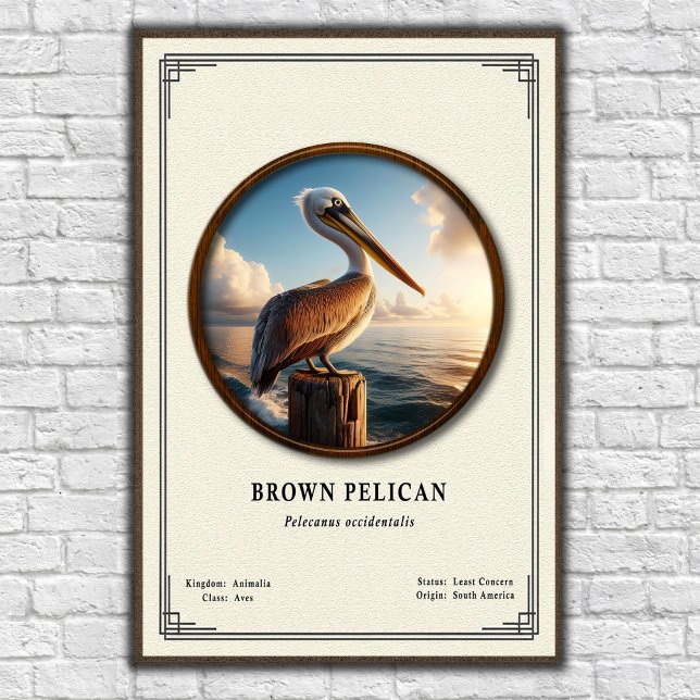 Affiche de la série de zoologie du Pélican brun (Créateur téléchargé)