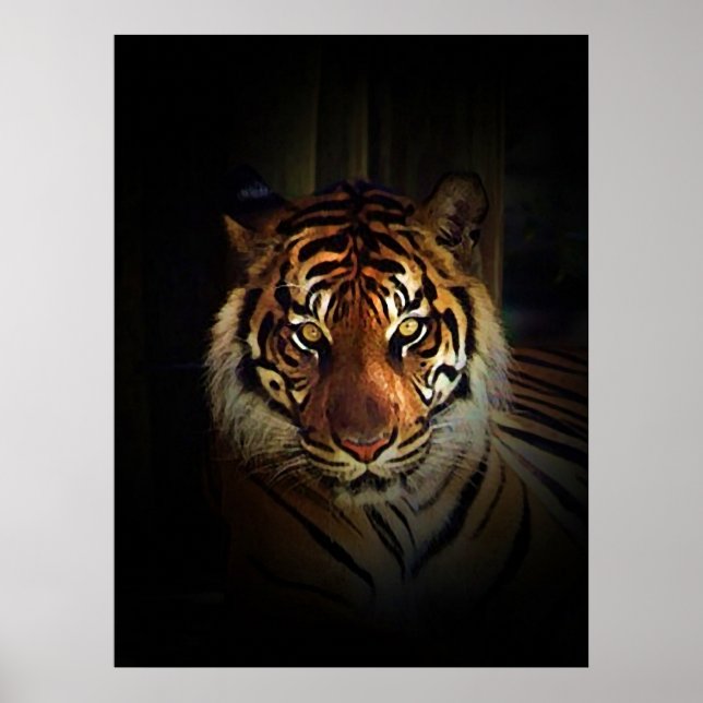 Affiche de la sous-espèce de tigre de Sumatra (Devant)