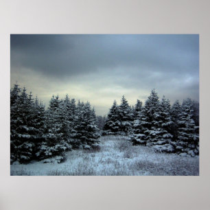 Affiche de la tempête d'hiver