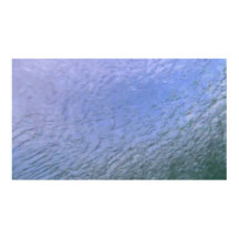 Affiche de la Wildlife 139