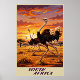 Affiche de l'Afrique du Sud