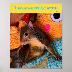 Affiche de l'algue