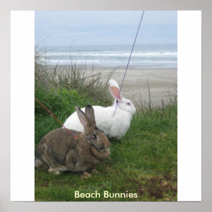 Affiche de lapins de plage - customisée