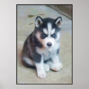 Affiche de l'art Husky Sibérien