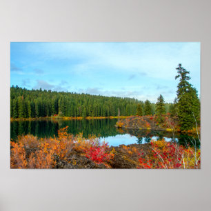Affiche de l'automne à Clear Lake