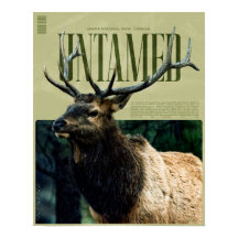 Affiche de l'élan sauvage du Parc national de Banf