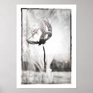 affiche de l'empreinte de léopard maschera