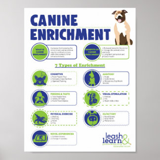 Affiche de l'enrichissement de Canine