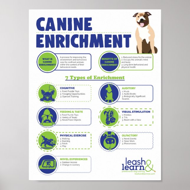 Affiche de l'enrichissement de Canine (Devant)