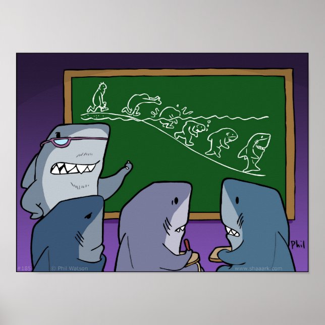 Affiche de l'évolution Shaaark ! (Devant)