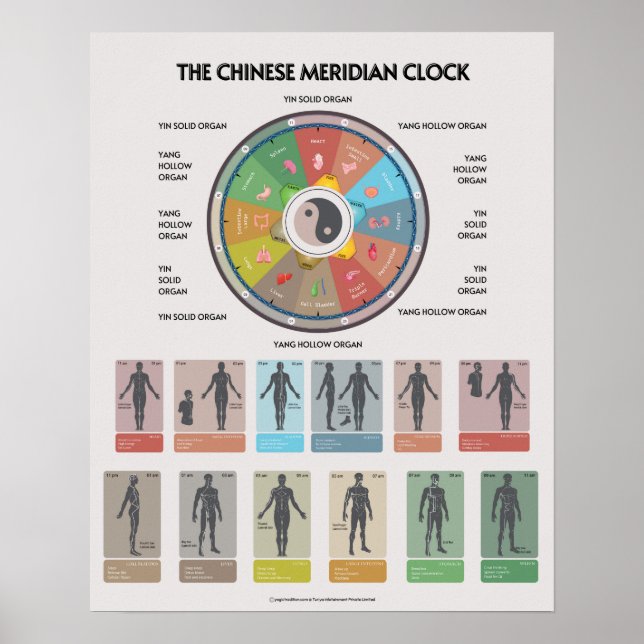 Affiche de l'horloge des organes des méridiens de  (Devant)