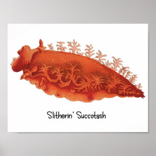 Affiche de limace de mer Slitherin' Succotash