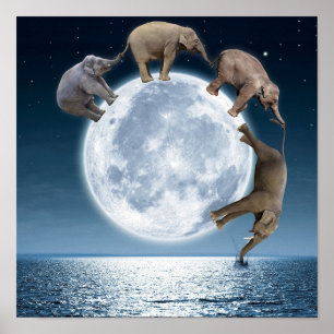 Affiche de l'Imaginaire Elephant Moon
