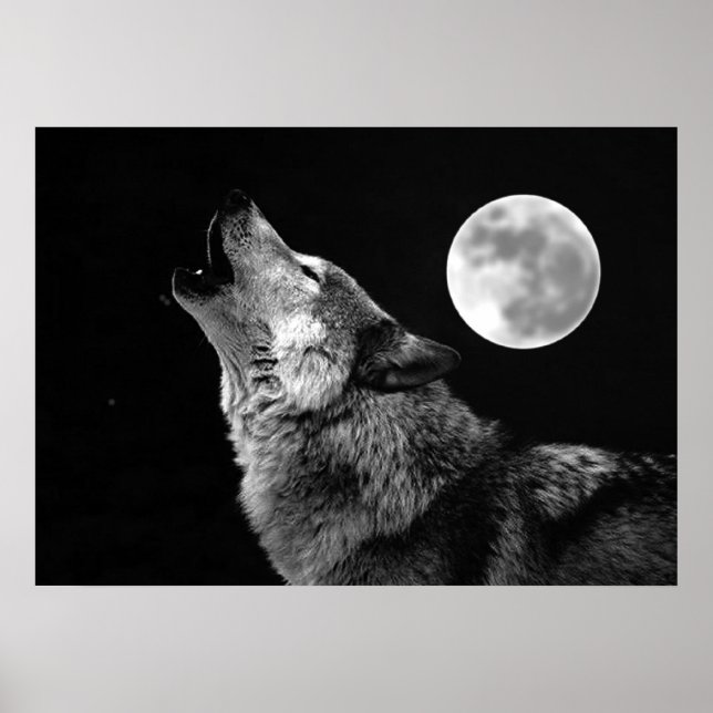 Affiche de l'impression du loup gris et de la lune (Devant)