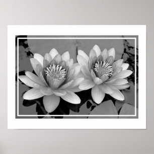 Affiche de Lotus de Nénuphar Flottant