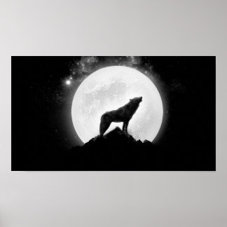 affiche de loup