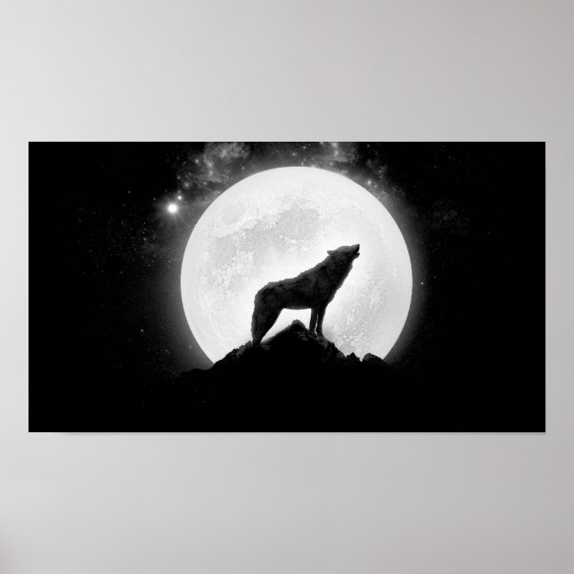 affiche de loup (Devant)