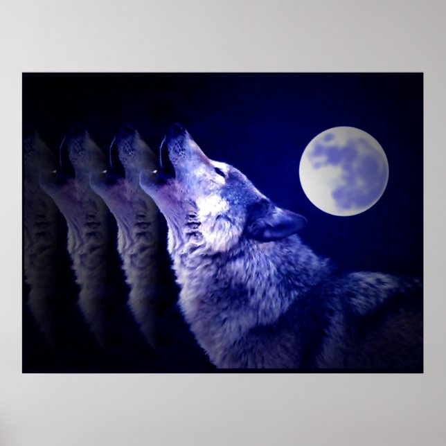 Affiche de loup hurlant à la lune - Affiches de lo (Devant)