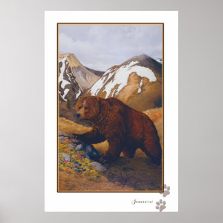affiche de l'ours brun