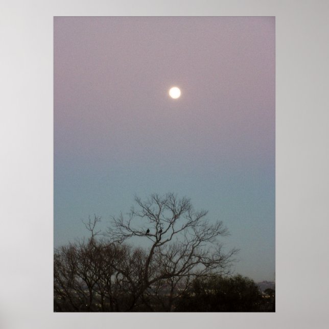 affiche de lune de soleil (Devant)