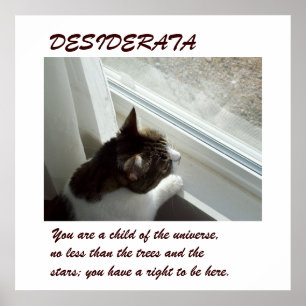 Affiche de Luvlee Window DESIDERATA
