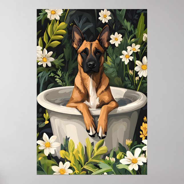 Affiche de Malinois belge dans une baignoire, Chie (Devant)