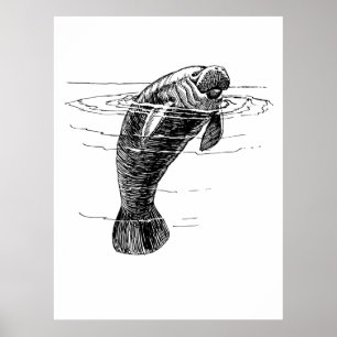 Affiche de Manatee