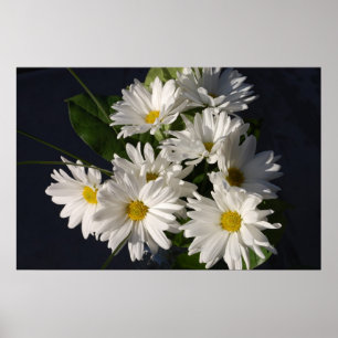 Affiche de marguerites blanches